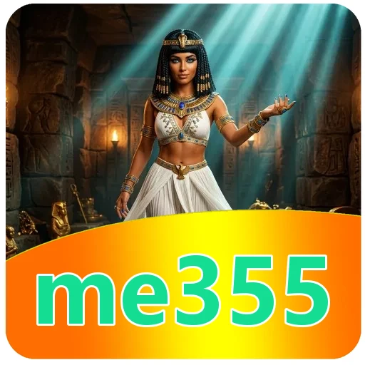 Troubleshooting me355